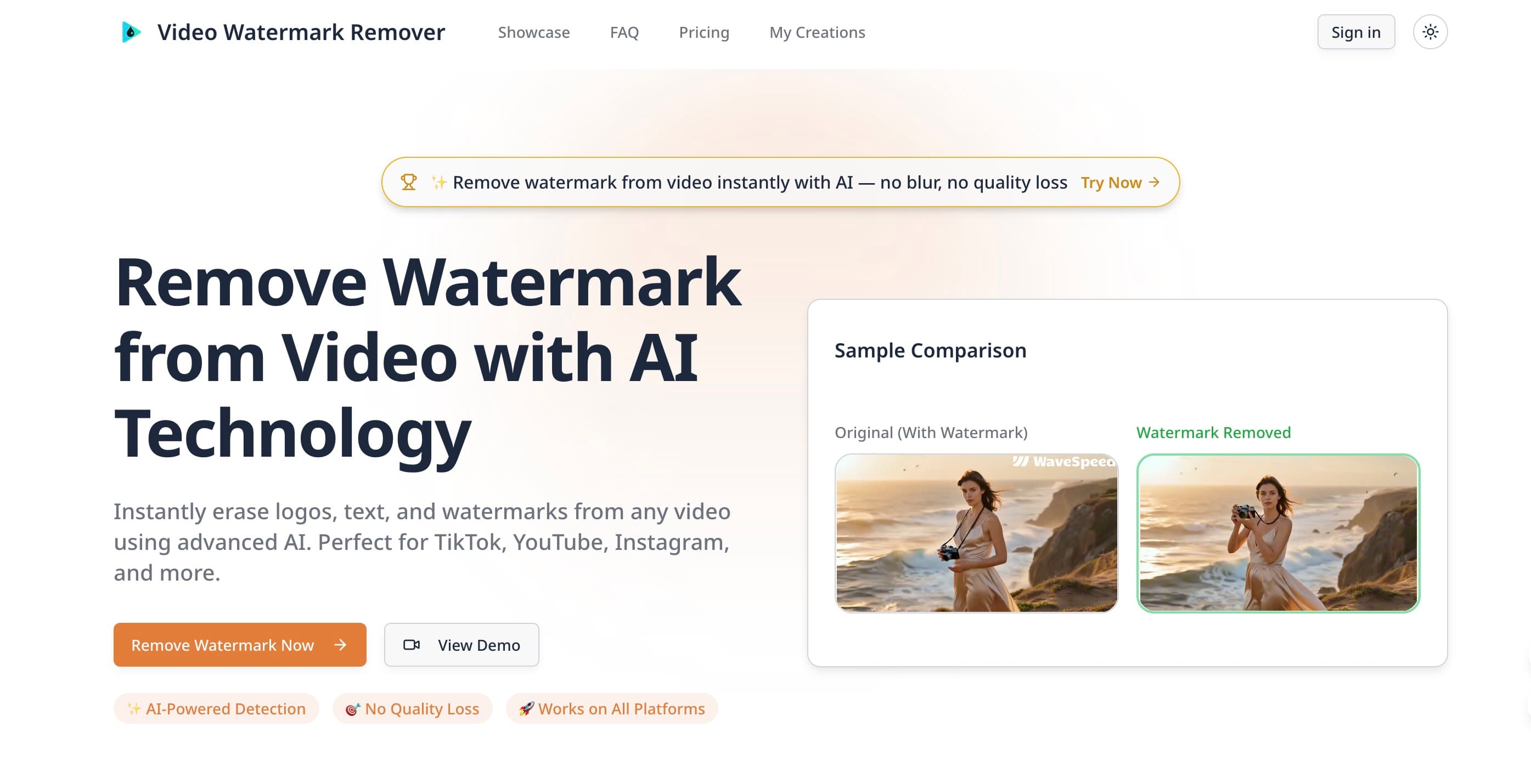 Remove Watermark from Video Online - AI Video Watermark Remover image 1
